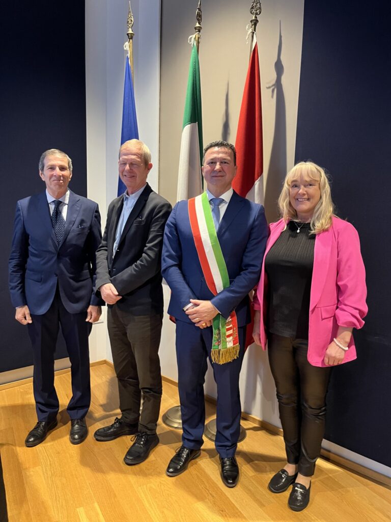 european twinning project